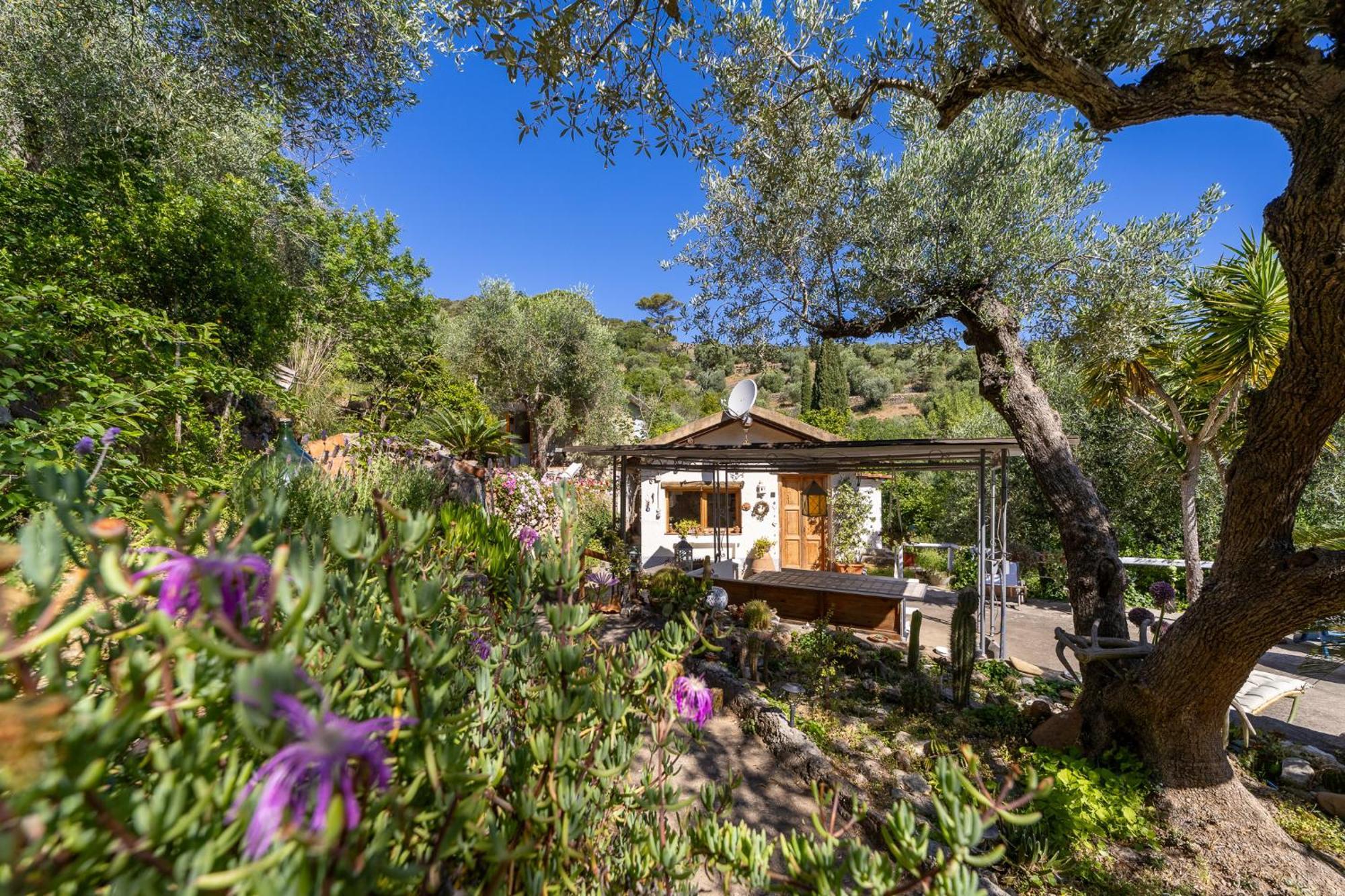 Cottage Pura Vigna Immerso Nella Natura Vicino Al Mare Порто Санто Стефано Экстерьер фото